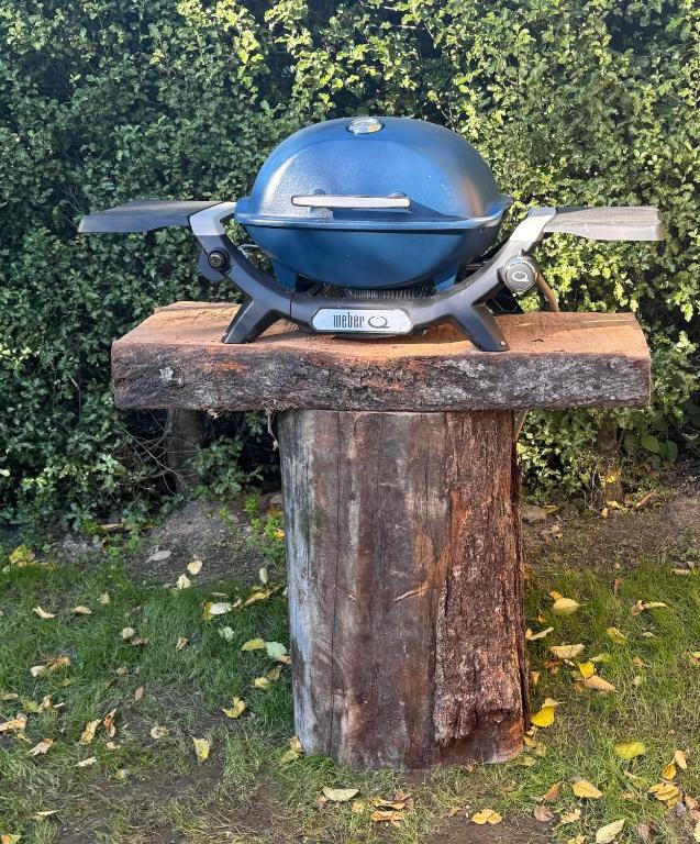 Hanmer Glamping - Resim 29