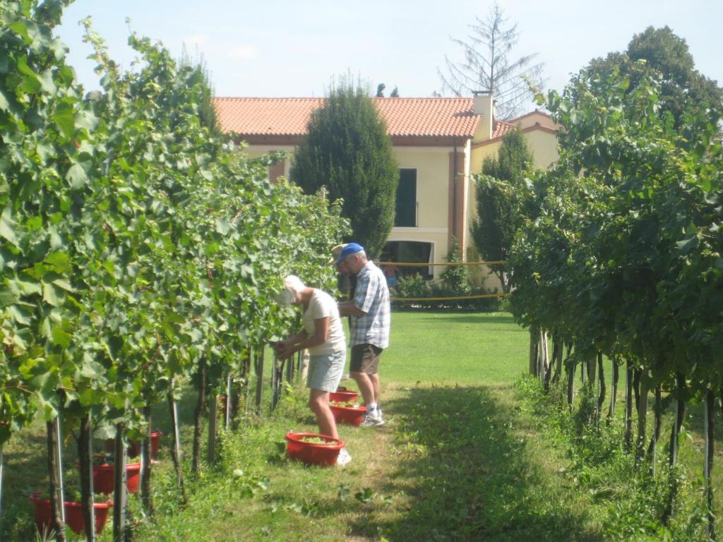 Hostia v ubytovaní Agriturismo L'Albara - Wines, Pool & SPA