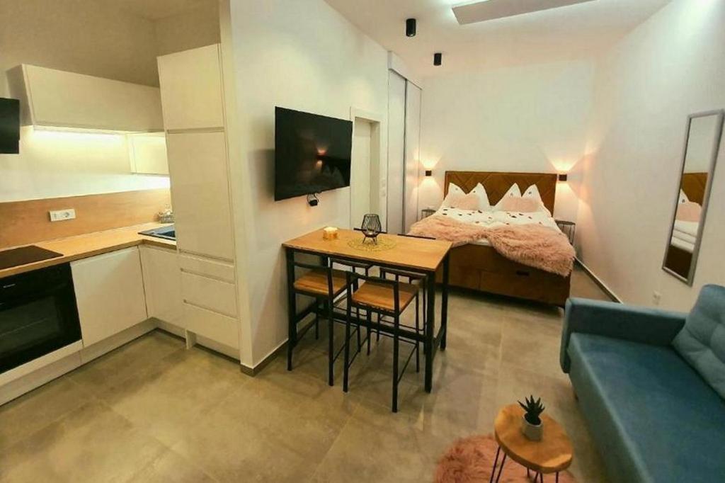 Apartments with WiFi Labin - 24459