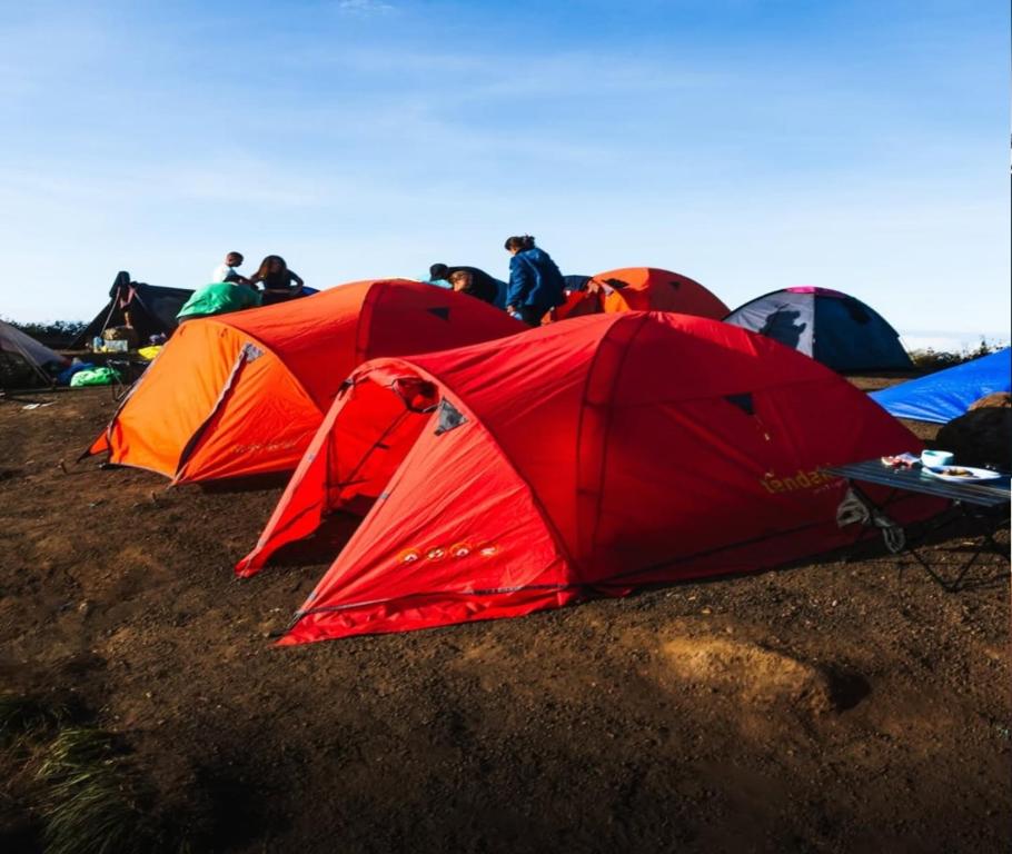 Φωτογραφία από το άλμπουμ του 2 Days Camping Rinjani Summit 3726 m Join Tour σε Senaru