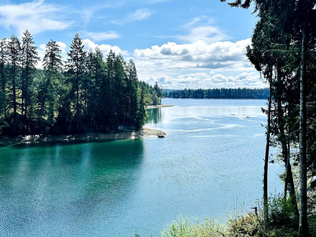 een uitzicht op een meer met bomen aan de oever bij Waterfront Escape - Dock, Hot Tub, Theater in Grapeview