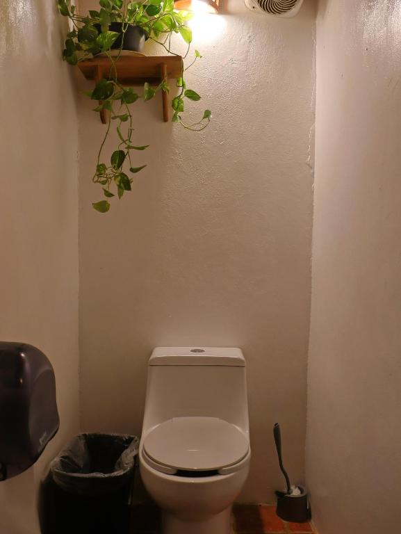 Koupelna v ubytování La Redonda Sayulita Hostal