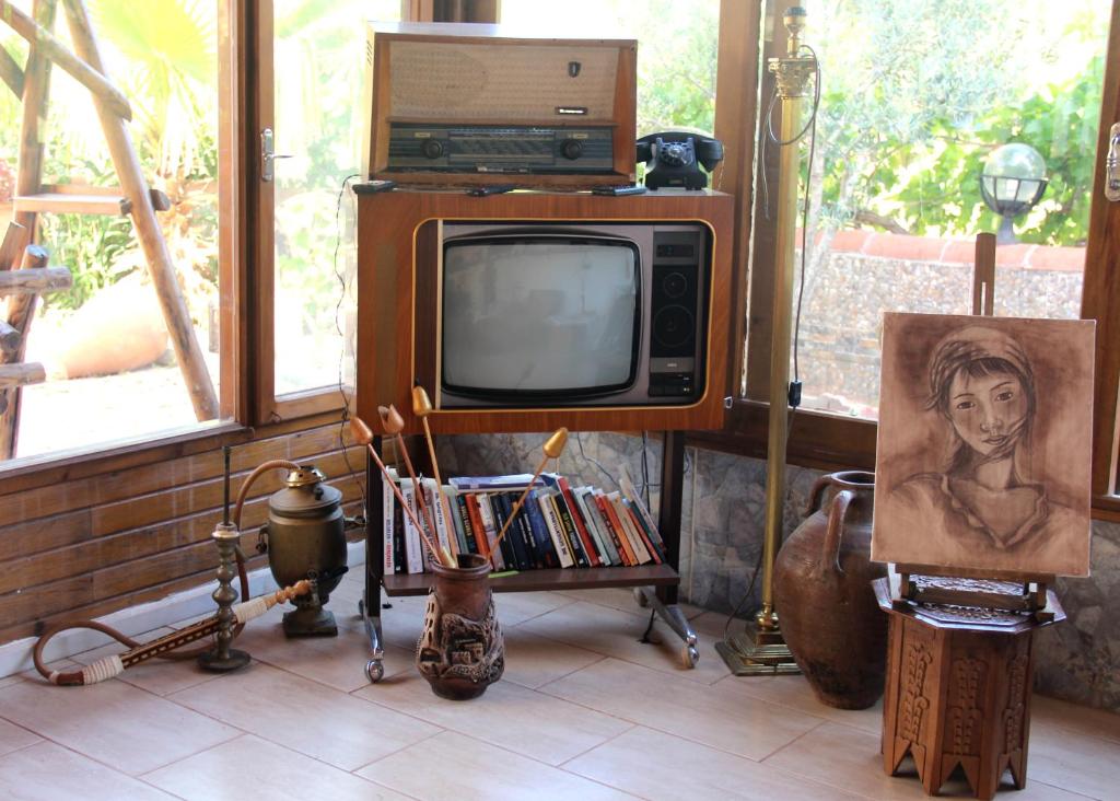 Cette chambre dispose d'une télévision et d'un tableau. dans l'établissement Adrasan Shambala, à Adrasan