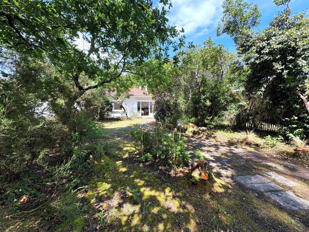 Photo de la galerie de l'établissement Villa 2 chambres entre bassin et océan, pas de Wi-Fi - FR-1-736-62, à Lège-Cap-Ferret