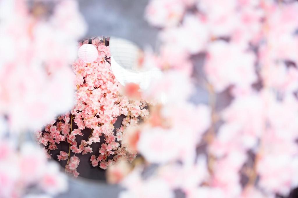 Fotografie z fotogalerie ubytování SAKURA House v destinaci Nagoja