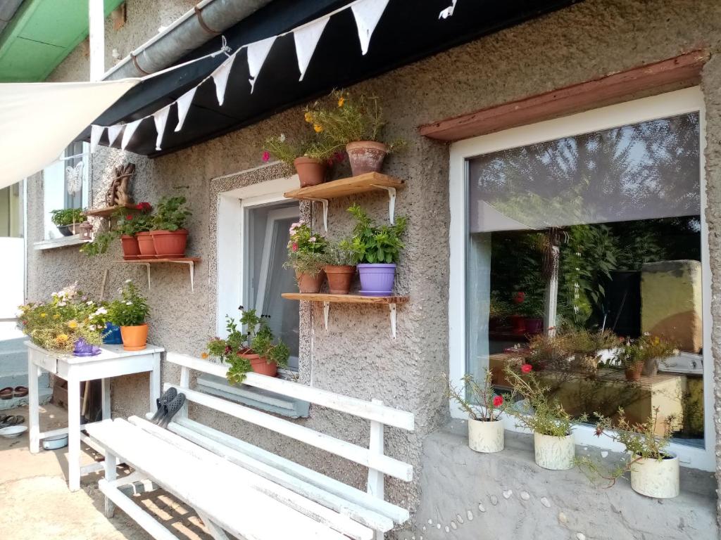 Rustic Village Retreat