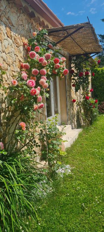 une maison dont les roses poussent sur son côté dans l'établissement Petit gite de Provence, à Mazan