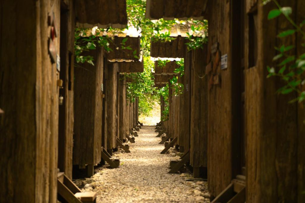 Κήπος έξω από το Olympos Yakamoz Pansiyon