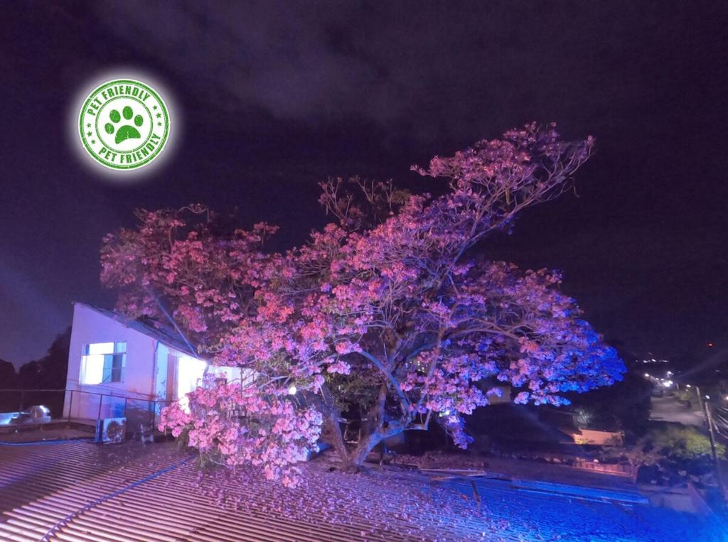 Κήπος έξω από το Mini casa de árbol, mágica, céntrica y de vistas panorámicas