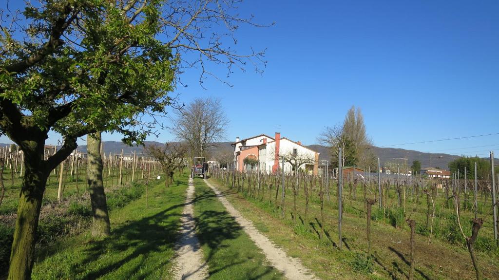 Príroda v okolí farmy