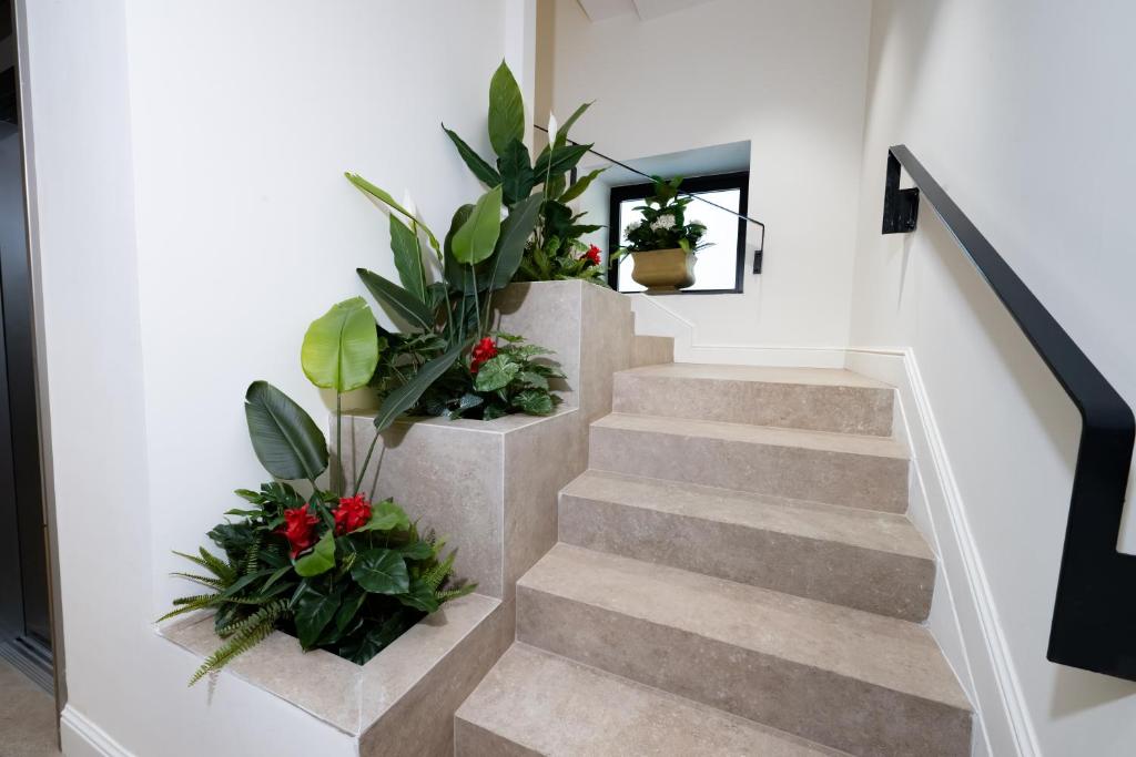 Casa D Hotel Napoli - 18