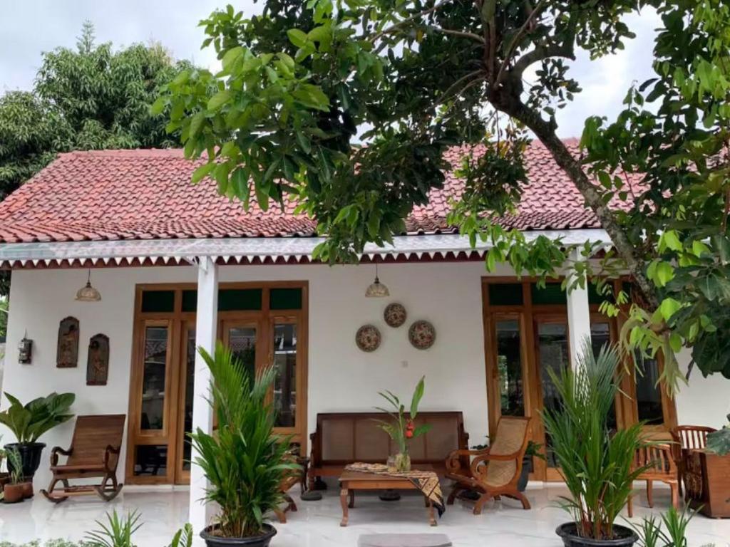 a house with a patio and trees at Teras Bening Homestay Yogyakarta in Timuran