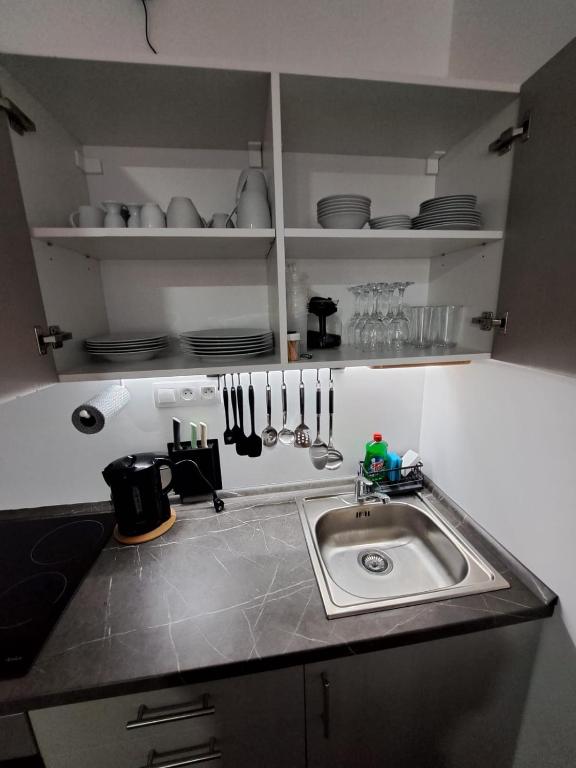 Kuchyň nebo kuchyňský kout v ubytování Apartmán Helena pod Klínovcem