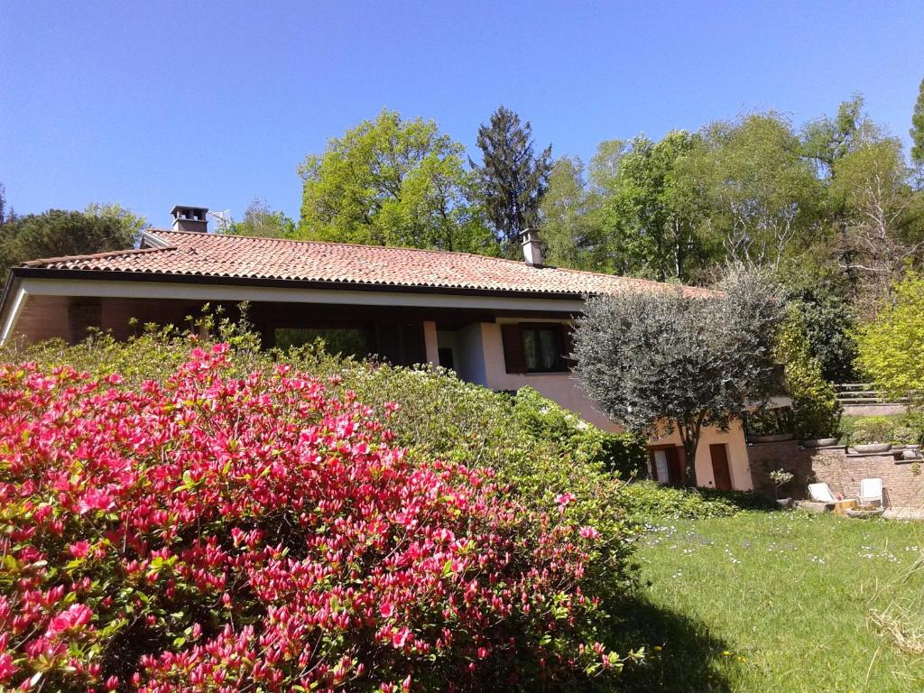 una casa con fiori rosa di fronte di B&B Il Picchio a Mergozzo