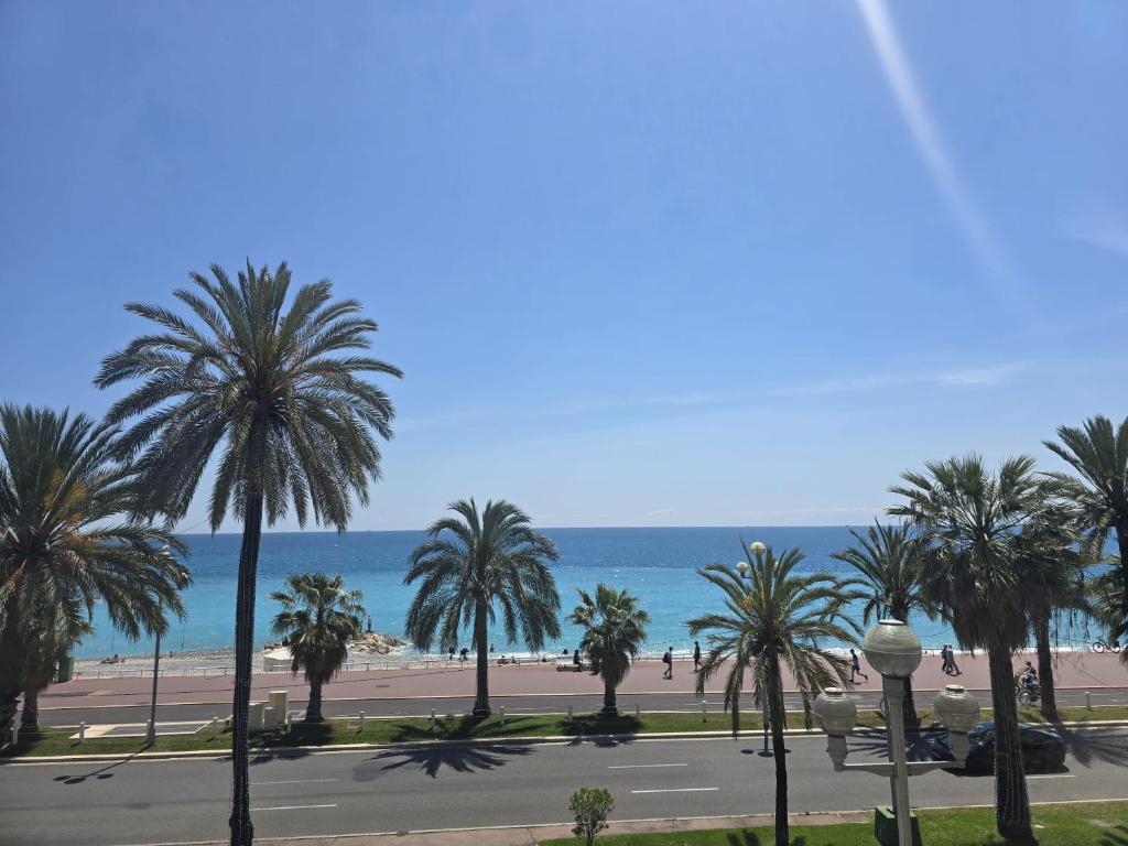 une vue sur une plage avec des palmiers et l'océan dans l'établissement Apartamento vista mare, à Nice