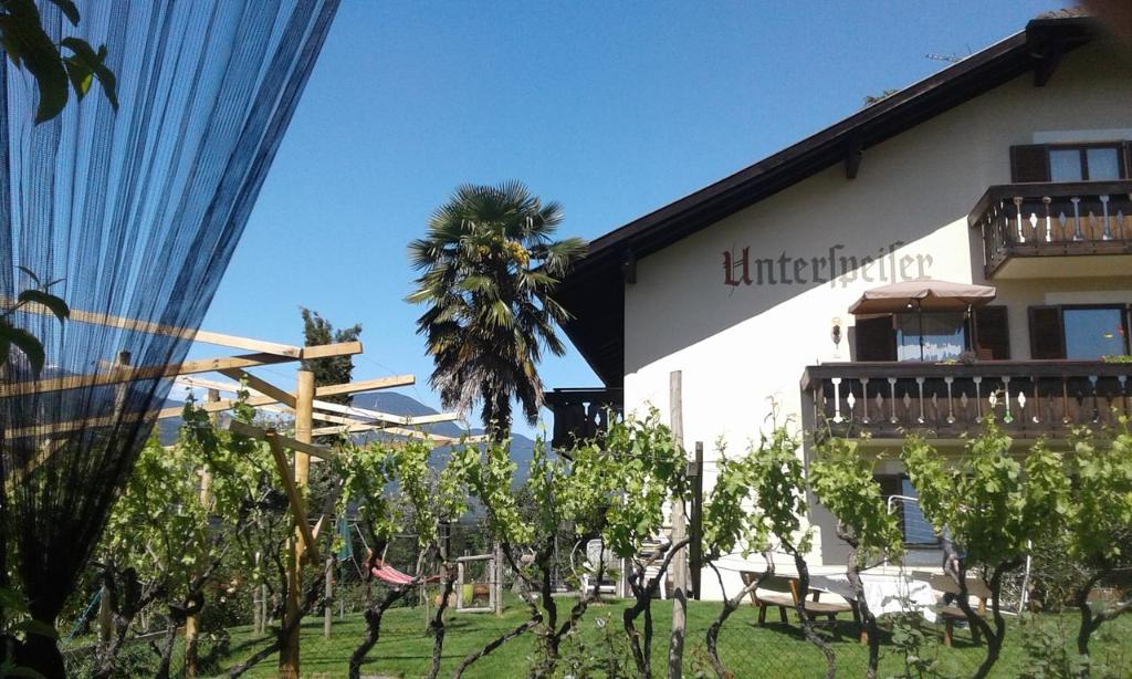 a building with a palm tree in front of it at Garni Unterspeiser in Terlano