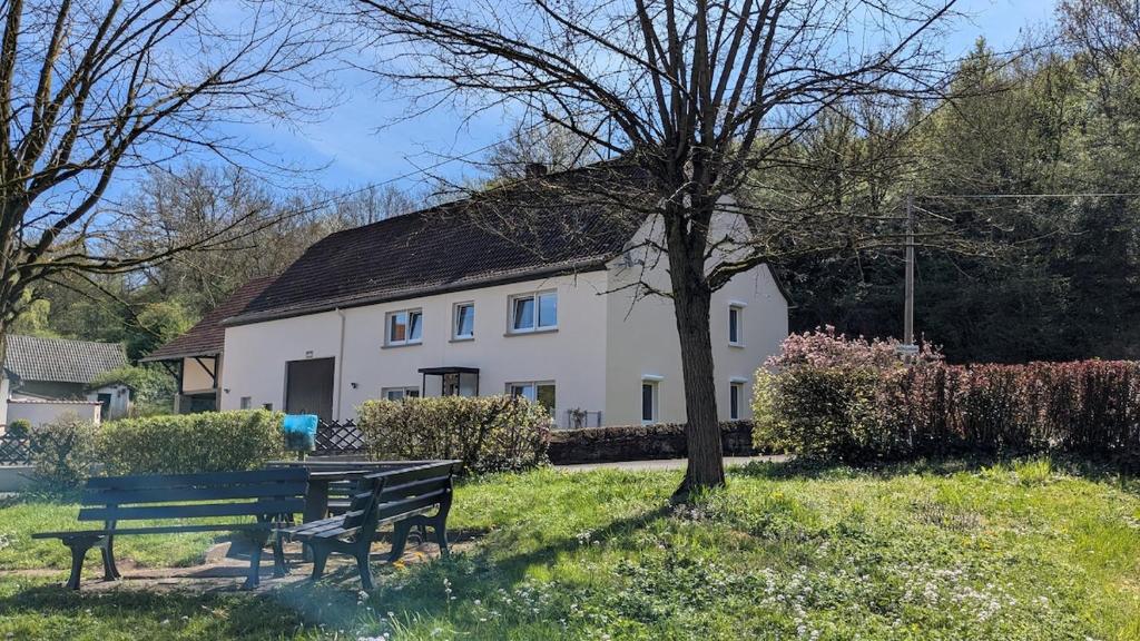 a white house with a bench in front of it at Ferienhaus Pauline am Glan in Medard