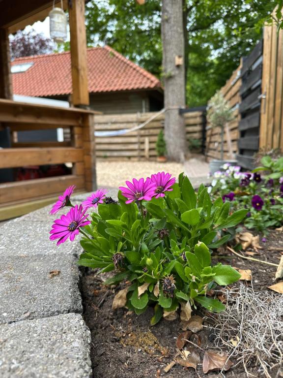 Zahrada ubytování Veluws vakantiehuisje Kawoeper Lodge