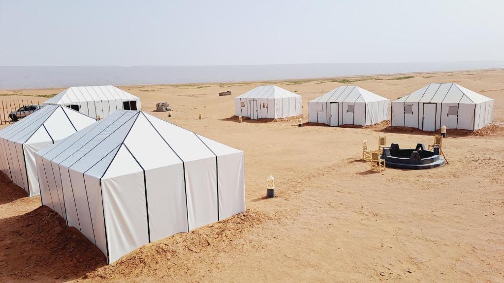 un gruppo di cupole bianche nel deserto di Bivouac Le secret des dunes a Foum Zguid