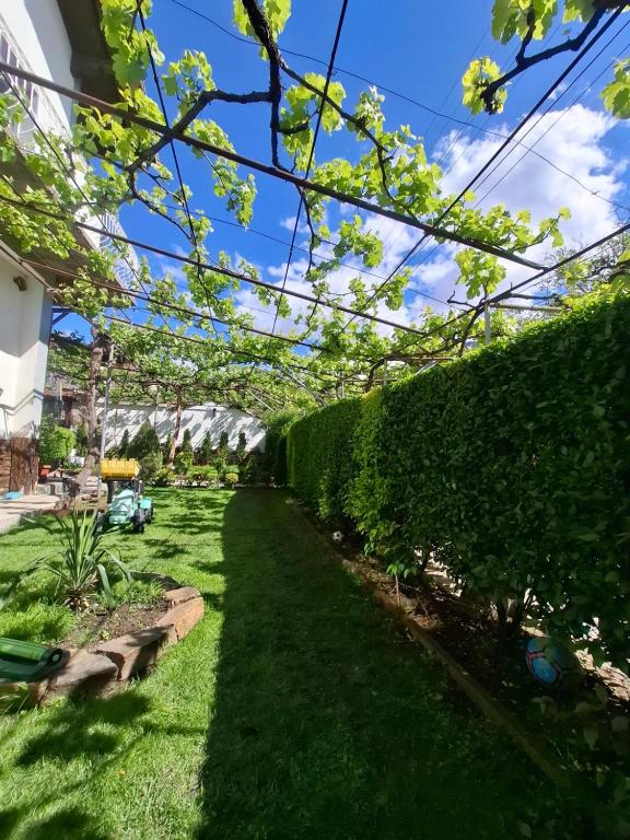 Gallery image of Стаи за гости Върбите in Sapareva Banya