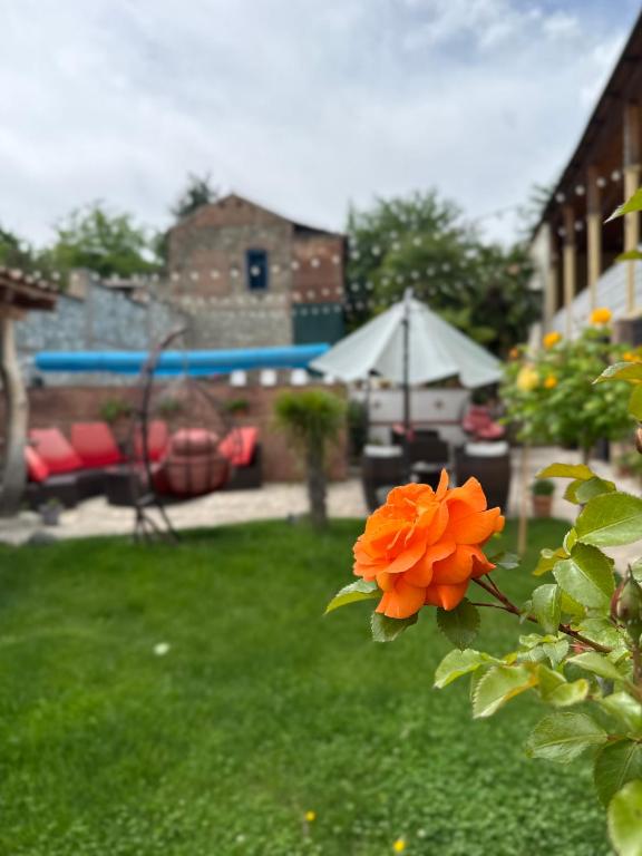 Zahrada ubytování Boutique Hotel Talaveri In Telavi