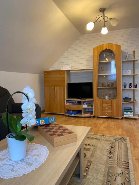 TV a/nebo společenská místnost v ubytování Apartmán 80