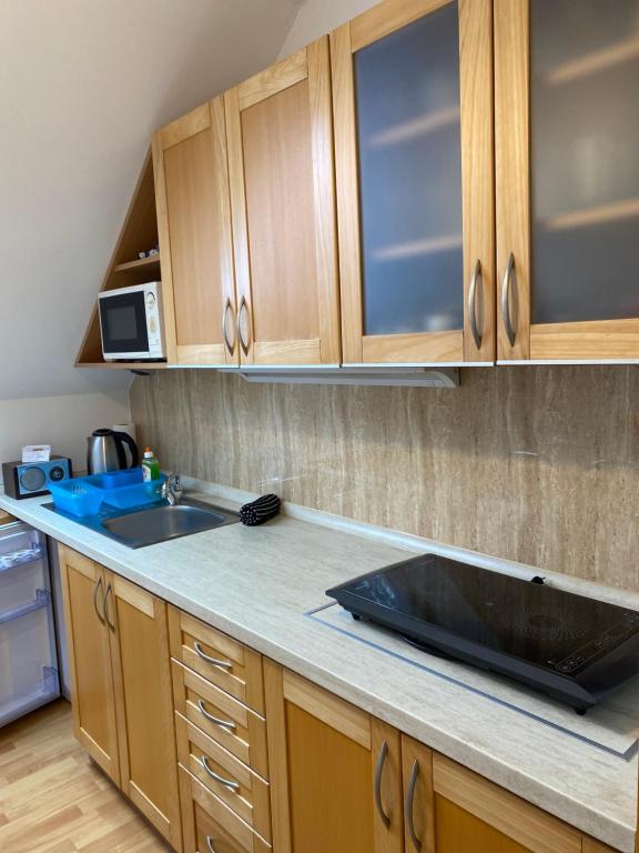 Kuchyň nebo kuchyňský kout v ubytování Apartmán 80