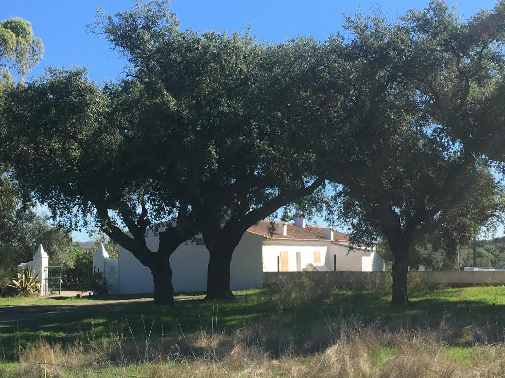 En have udenfor HORTA do RAMALHAÕ