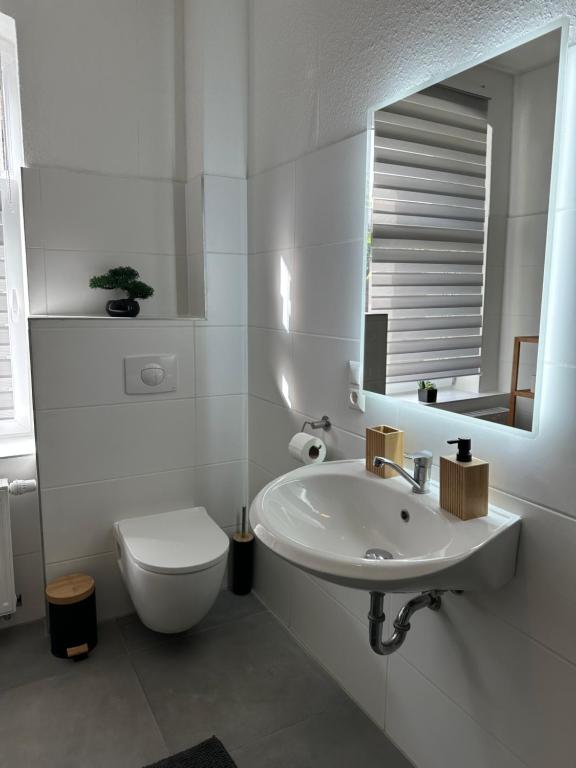 a bathroom with a sink and a toilet and a mirror at Apartment Gray Z2 in Erfurt