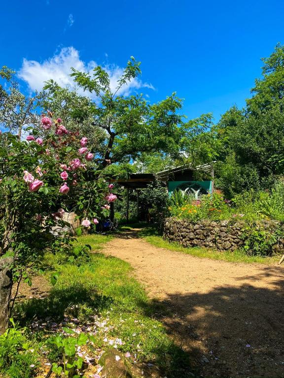 une maison avec un arbre et un mur en pierre dans l'établissement Dortoir dans la nature, à Chambonas