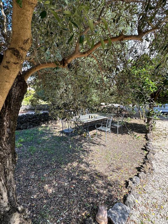 Zahrada ubytování B&B Dimora di Campagna "alle falde del Vesuvio"