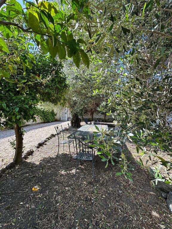 Zahrada ubytování B&B Dimora di Campagna "alle falde del Vesuvio"