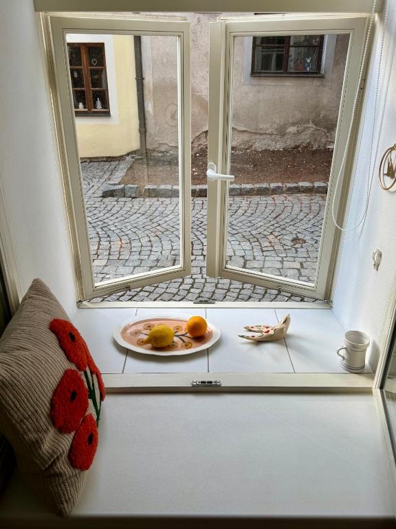 Fotografie z fotogalerie ubytování Apartmán Na bidýlku - On the Perch Apartment v Táboře