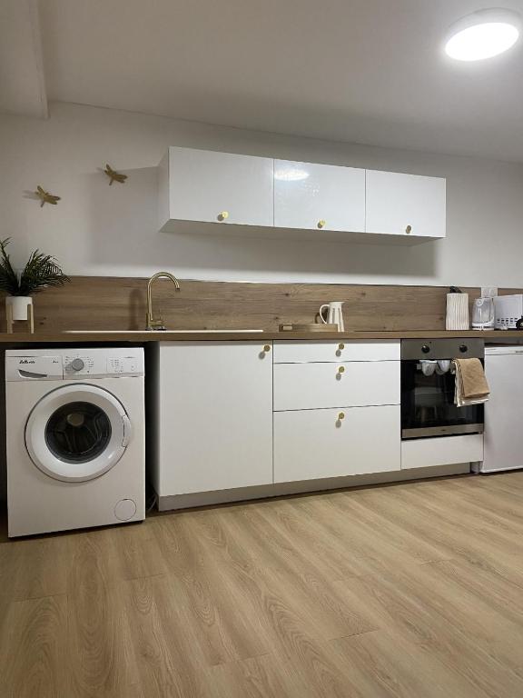 une cuisine avec un évier et une machine à laver dans l'établissement DISNEY LOVE - VAL D EUROPE - Vallée Village - VILLAGE NATURE - PARC ASTERIX, à Carnetin