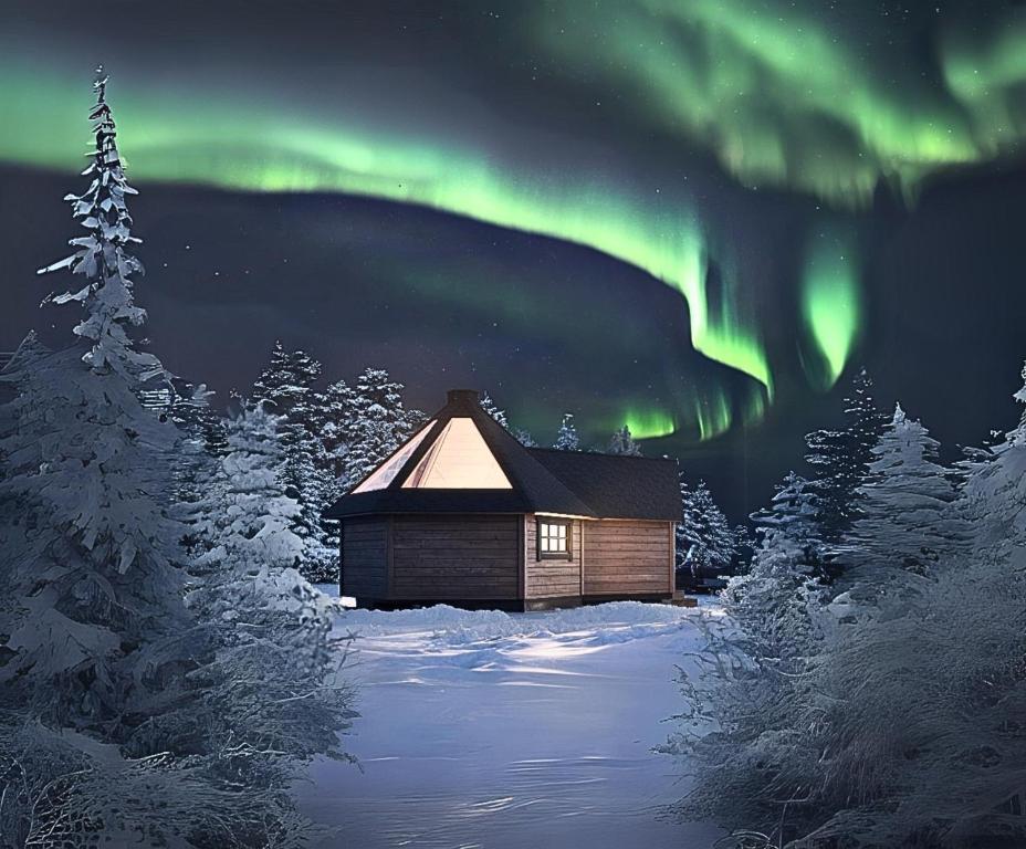 SKOG Aurora igloos v zimě