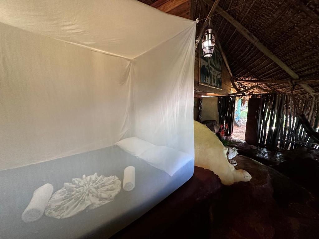 Ensueños Natural Suites photo
