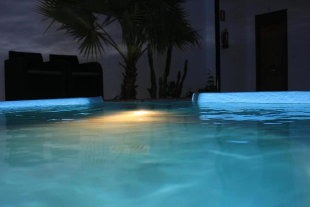 a swimming pool at night with a palm tree at CASA PATIO LAS PALMERAs 1 Y 2 in Córdoba