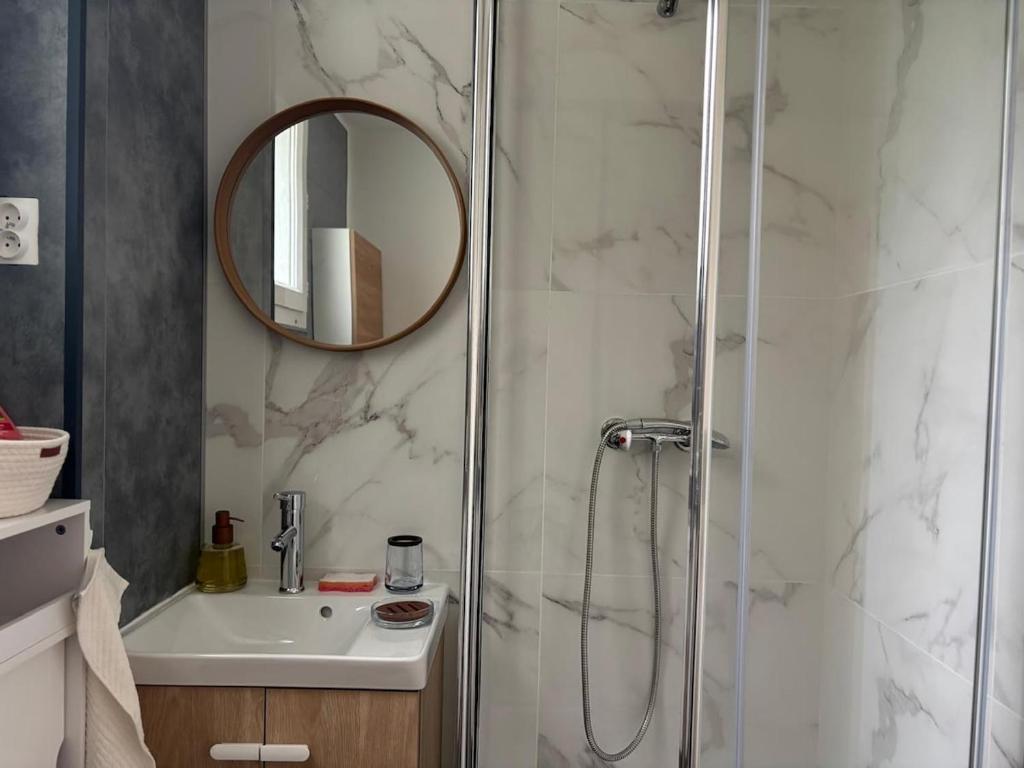 a bathroom with a shower and a sink and a mirror at La Belle Escale d'Epinay aux portes de Paris in Épinay-sur-Seine
