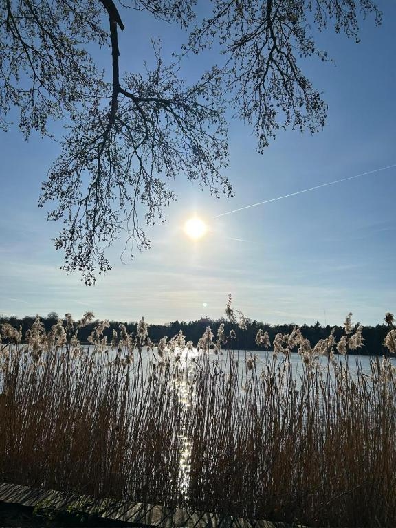 Ferienhaus Leuchtturmblick Hafendorf Rheinsberg - Casa Con 2 Camere Da Letto