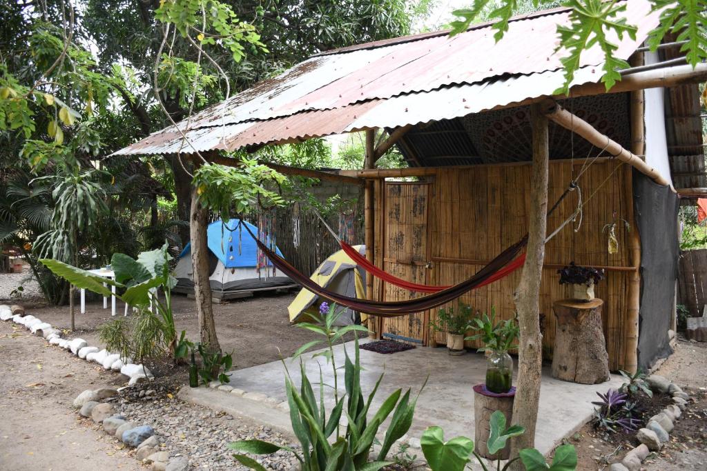 Zahrada ubytování Hostal Palomino EcoHouse & Camping