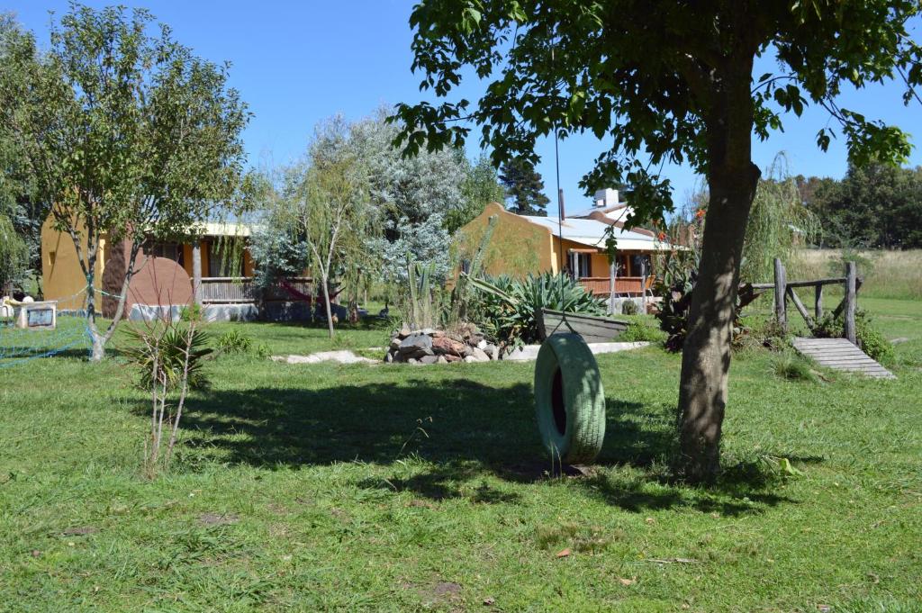 a tree in a field with a house in the background at Complejo Dulcería El Cazador y cabañas in Tandil