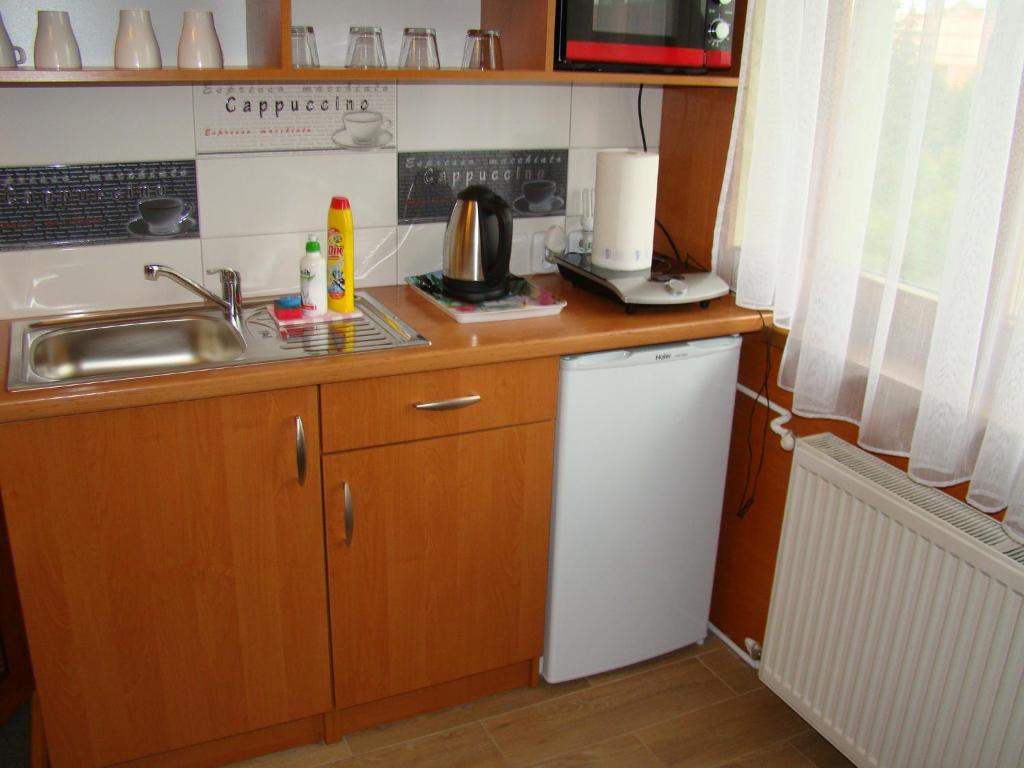 Kuchyň nebo kuchyňský kout v ubytování Willa Stenia Apartamenty