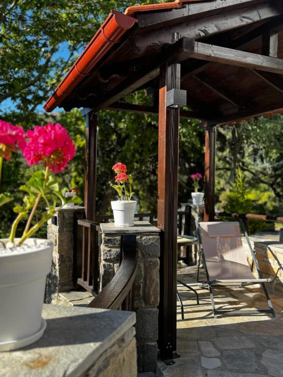 Zahrada ubytování Villa del Vino
