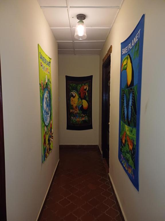 Kuvagallerian kuva majoituspaikasta BlueRock Hostal, joka sijaitsee kohteessa David