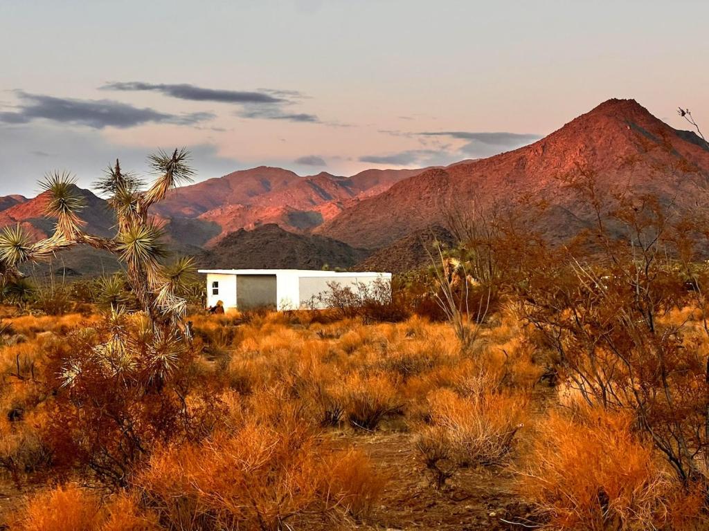 Imagen de la galería de Joshua Tree Tiny Home, en Yucca