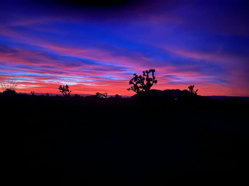 Imagen de la galería de Joshua Tree Tiny Home, en Yucca