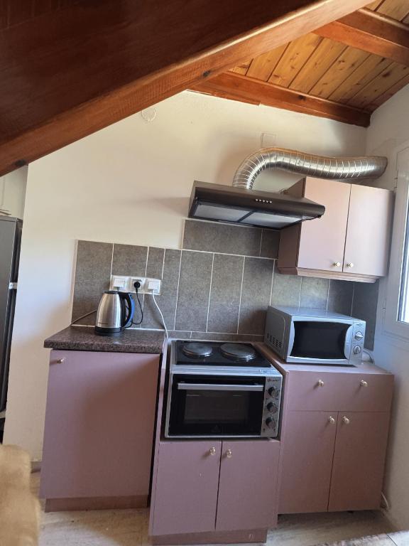 Kuchyň nebo kuchyňský kout v ubytování Villa Mitsialis