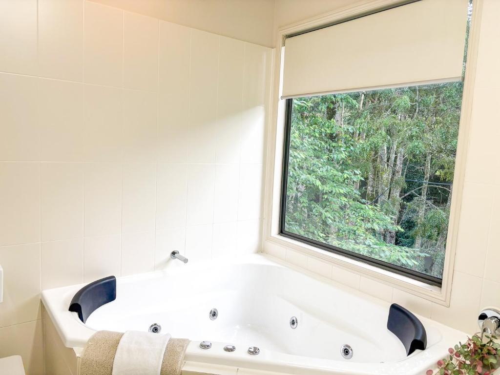 Fotografie z fotogalerie ubytování Tranquil Getaways On Obi Maleny v destinaci Maleny