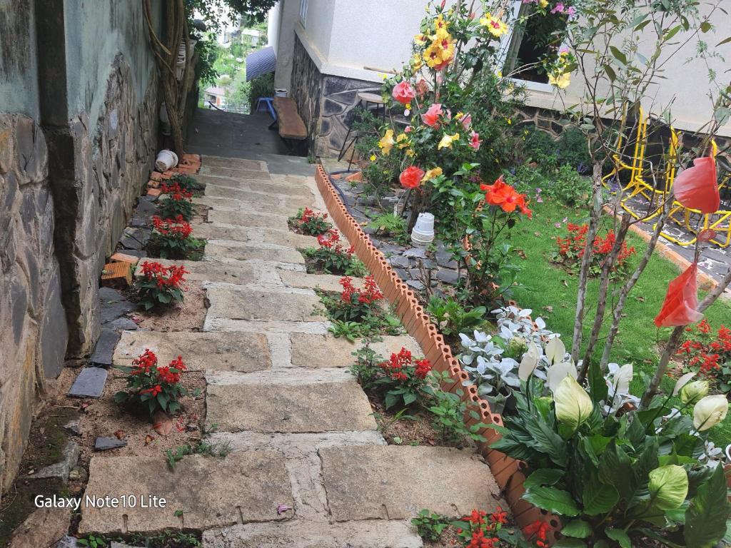 Zahrada ubytování Mindrolling Boutique Hotel