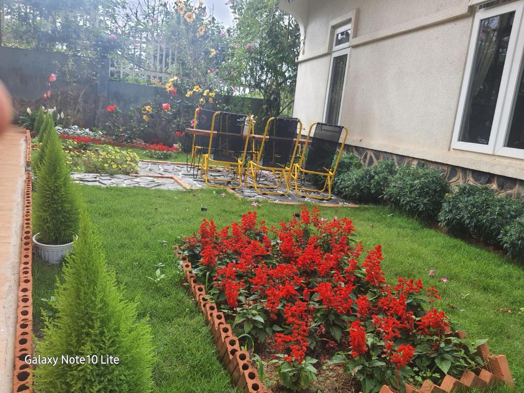 Zahrada ubytování Mindrolling Boutique Hotel